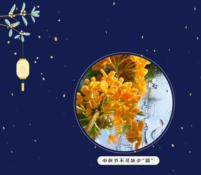 联合联盟10669资料